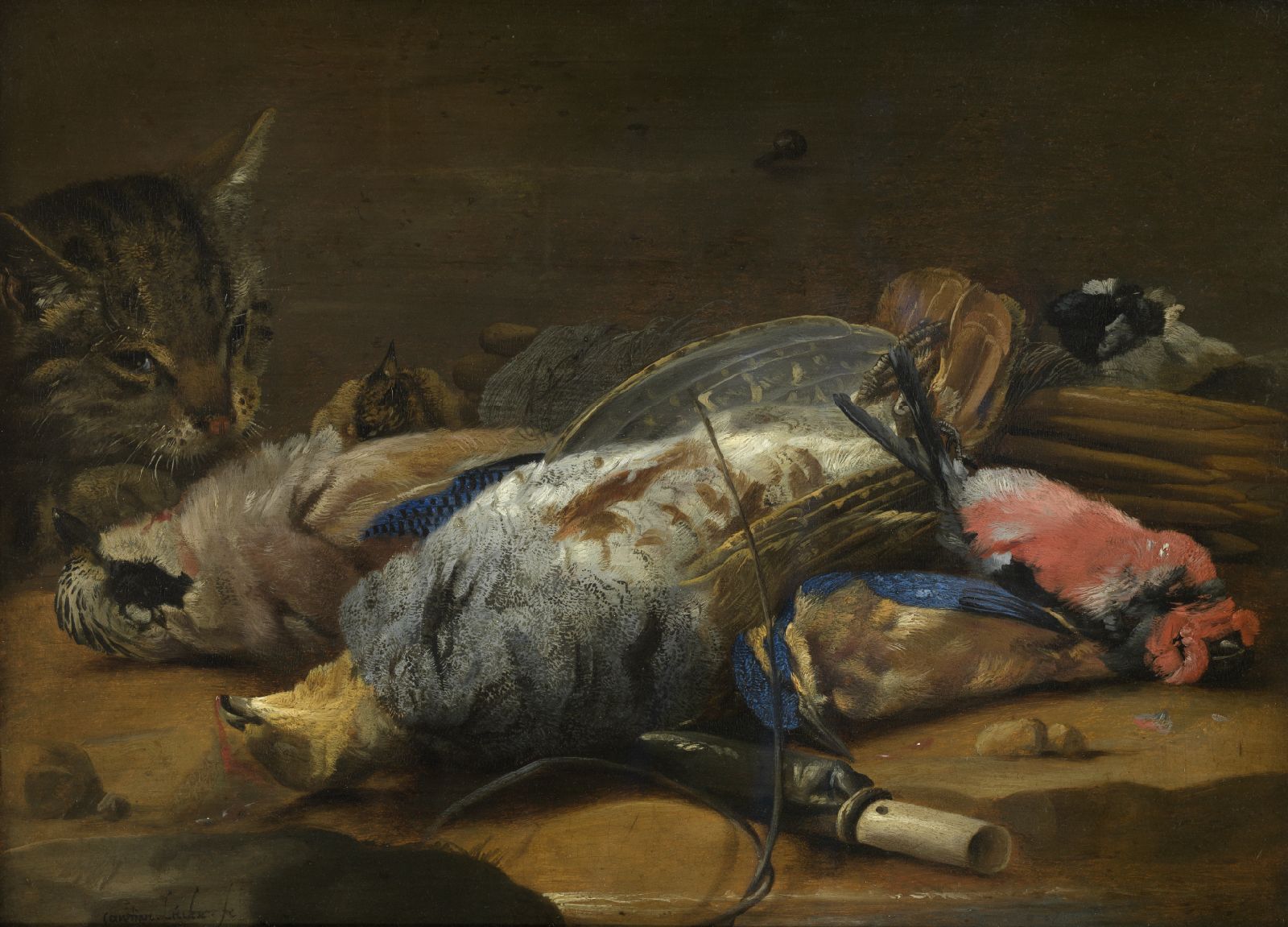 Carstian Luyckx, Cat and Dead Game
