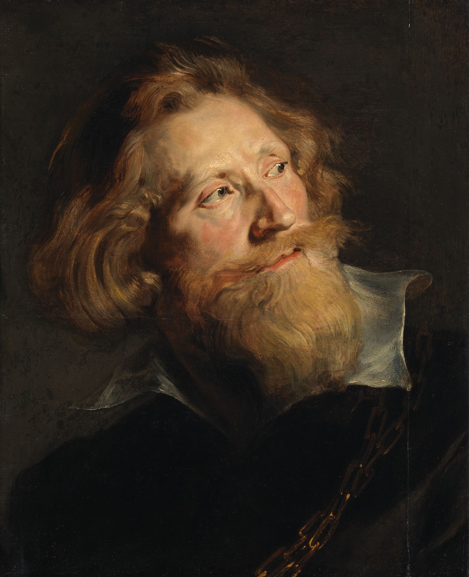 Peter Paul Rubens, Head Study of a Bearded Man