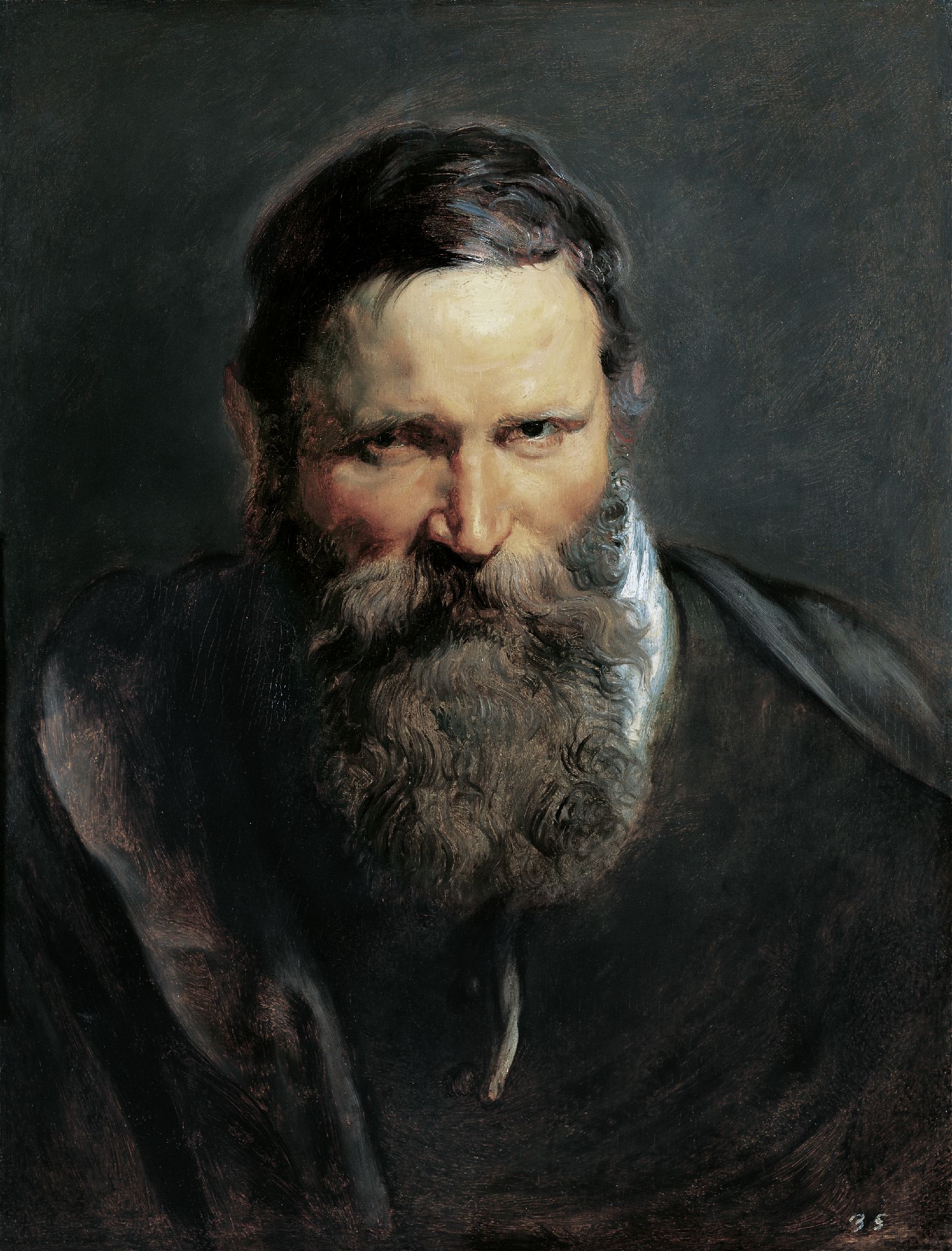 Peter Paul Rubens, Head Study of a Man