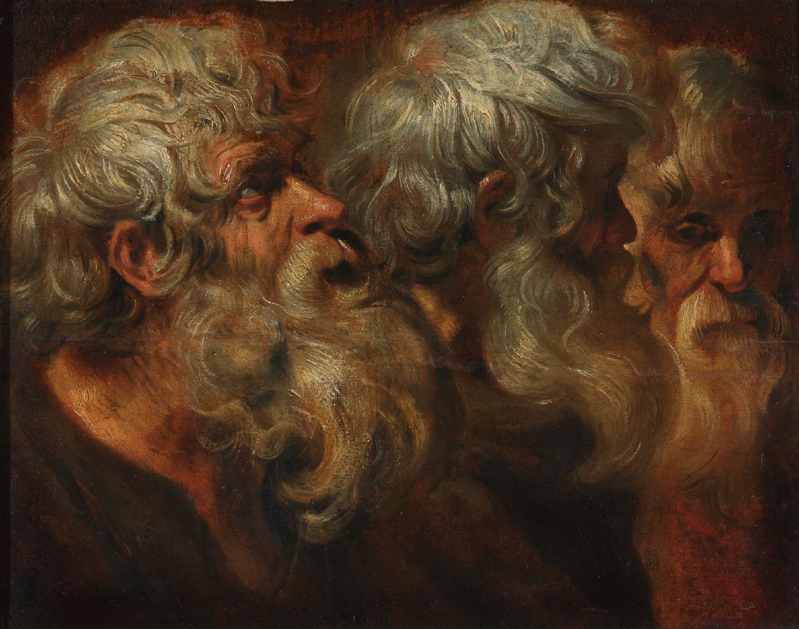Peter Paul Rubens, Three Head Studies of a Bearded Old Man
