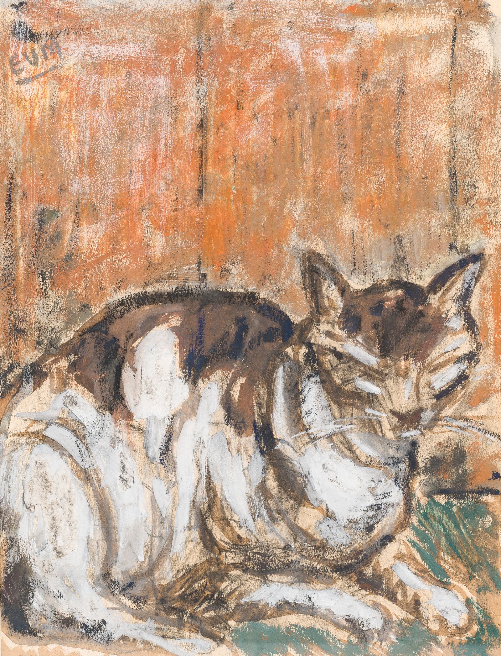 Eugeen Van Mieghem, Cat
